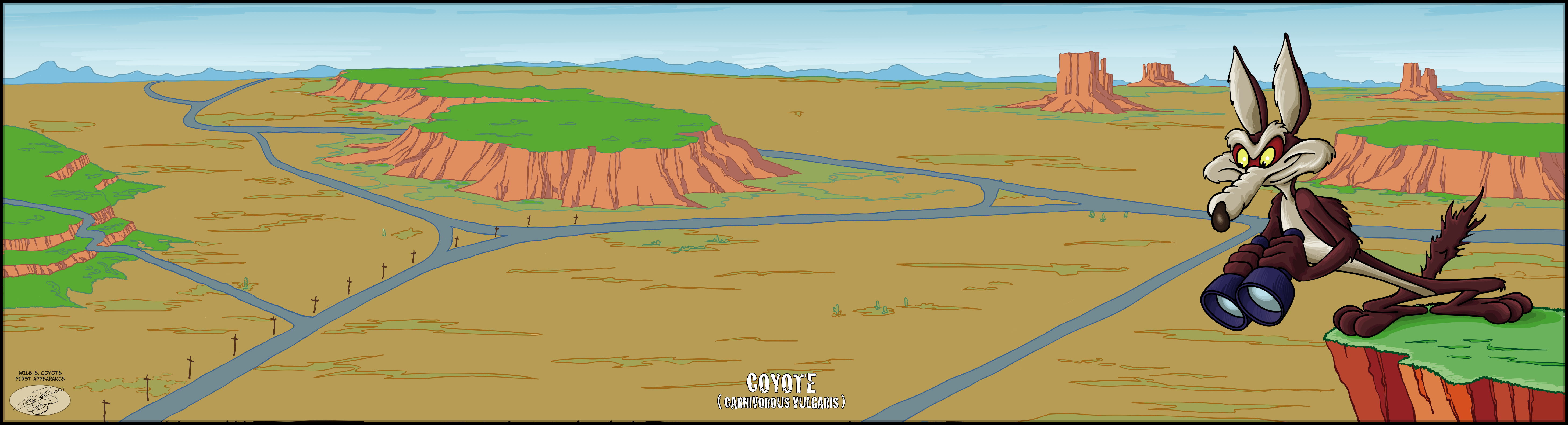 Coyote
